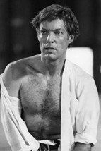 Richard Chamberlain in The Thorn Birds Bare Chested Portrait as Father Ralph 18x - £18.58 GBP