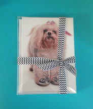 Maltese Greeting Cards 10 Pack Dog Pet All Occasion Blank Message Puppy ... - $12.49