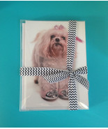 Maltese Greeting Cards 10 Pack Dog Pet All Occasion Blank Message Puppy ... - £9.83 GBP