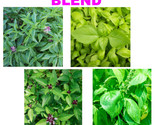 150 Basil Blend -  Equal Parts Blend - Fast Shipping - $8.99