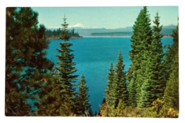 Lake Almanor Lassen Peak Northern California CA UNP Mirro Krome Postcard 1950s - $7.99