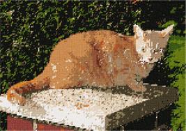 Pepita Needlepoint kit: Cat in Garden, 12&quot; x 9&quot; - $86.00+