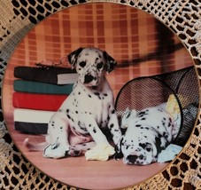 Hamilton Collection ~ Delightful Dalmatians Plate ~ 0646A ~ Serious Stud... - $26.18