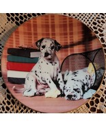 Hamilton Collection ~ Delightful Dalmatians Plate ~ 0646A ~ Serious Stud... - $35.56 CAD