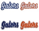 Florida Gators Text  Embroidered Applique Iron On Patch Various Sizes Cu... - $4.87+