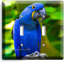 Hyacinth Tropical Blue Macaw Bird Parrot Double Light Switch Plate Room Hd Decor - £11.19 GBP