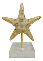 Nautical Marine Coral Golden Sea Star Shell Starfish Sculpture Acrylic Base - £35.89 GBP