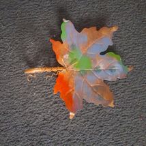 Vintage Style Metal Maple Leaf dish tray rustic decor - $23.51