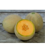 Planters Jumbo Cantaloupe Seeds 50+ Muskmelon Fruit  From US - $7.06