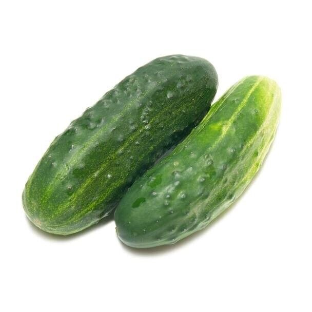 BEST 25 Seeds Easy To Grow New Jersey Cucumbers Great Tasting Cucks 6"" Long Pic - $10.00