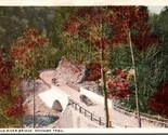 Cold River Bridge Mohawk Trail Massachusetts MA UNP Unused WB Postcard L7 - $2.67