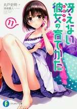 Saekano: How to Raise a Boring Girlfriend 11 novel book Japan - £16.93 GBP