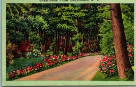 Country Road Greetings From Callicoon NY New York NY Linen Postcard  - £3.07 GBP
