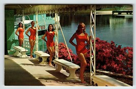 Postcard Weeki Wachee Live Mermaids Show Florida Swimsuit 4 Women Posing Chrome - £28.69 GBP