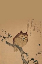 Owl of Branch - Art Print - £17.51 GBP+