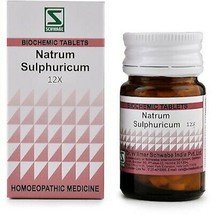 Willmar Schwabe India Natrum Sulphuricum 12X (20g) HERBAL AYUVEDIC  FREE... - £13.93 GBP