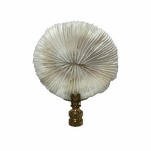 Natural Coral Lamp Finial, Nautical White Mushroom Coral on Polished Bra... - £21.88 GBP+