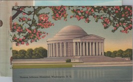 ZAYIX Postcard Thomas Jefferson Memorial Cherry Blossoms Washington 090222PC49 - £3.19 GBP