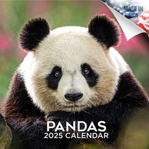 PANDAS Wall Calendar 2025 Animal Bear Lover Gift Bamboo - £18.73 GBP