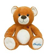 Interactive Bear Plush Brown Stuffed Toy 12&quot; Messenger Pet Animal Kids - £16.76 GBP