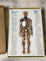 Vintage Human Body Bingo Puzzle , Anatomy Biology Life Science Safari LTD - $35.48