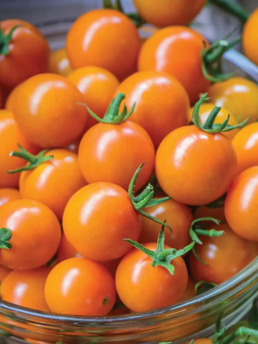 50 Seeds Honeycomb Tomato Vegetable Fast US Shipping - $9.50