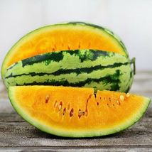 10 Glow Orange Watermelon Seeds Non-GMO - £4.78 GBP