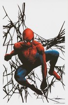 Jae Lee SIGNED Marvel Comics Super Hero Art Print ~ The Amazing Spider-Man - £23.48 GBP
