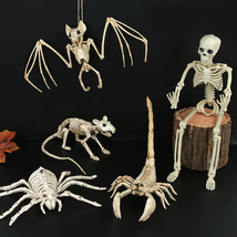 Halloween Skeleton Decor Party Prop Hanging Human Full Body Bones Moveable Joint - £8.59 GBP+