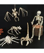 Halloween Skeleton Decor Party Prop Hanging Human Full Body Bones Moveab... - £8.62 GBP+