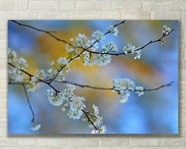 Abstract Floral, Flower, Nature Art - Fine Art Photo on Metal, Canvas or Paper - £24.91 GBP+