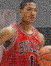 Amazing Chicago Bulls Derrick Rose NBA Montage w/COA - £9.10 GBP
