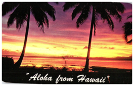 Aloha from Hawaii Sunset through Palm Trees Hawaii Postcard 1953 - £4.70 GBP