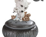 Albino Snow White Wolf Carrying Cub In Mouth Round Decorative Jewelry Box - $25.99