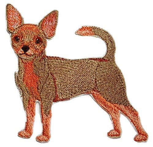 Amazing Custom Dog Portraits[Chihuahua] Embroidered Iron On/Sew Patch [4.5" x 4]