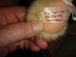 Item image 6