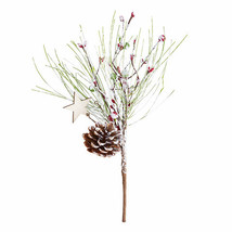 Pinecone Star Pick - 9 X 12 Inches - £15.60 GBP