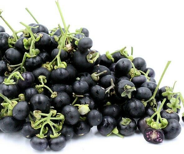 Wonderberry Seeds ~Solanum retroflexum (Burbankii)~ Sunberry~ Garden Huc... - $4.70+