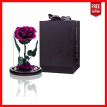Symbolic Preserved Purple Roses in Elegant Glass Dome - Ideal for Gifting - $53.34