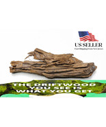NATURAL MANGROVE DRIFTWOOD #146a WYSIWYG - AQUASCAPING, SUPER PRICE!! DE... - €21,09 EUR