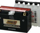 Moose Utility Division AGM Maintenance-Free Battery For 2004-2009 Yamaha... - £55.78 GBP