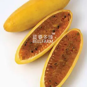 Fresh BELLFARM Banana Passion Fruit Seeds, 30 seed, professional pack, - $8.39