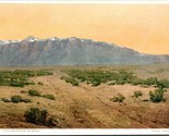 Dressler Painting Painted Desert Arizona AZ Fred Harvey Phostint UNP Pos... - $4.90