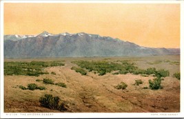 Dressler Painting Painted Desert Arizona AZ Fred Harvey Phostint UNP Postcard L9 - £3.85 GBP