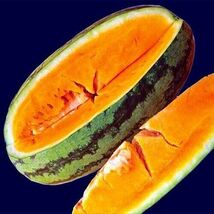 10 Orangeglo Watermelon Seeds Large Sweet 20 To 30 Pounds  - €3,86 EUR