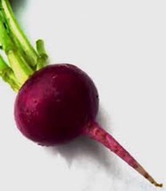 BEETS, EARLY WONDER, HEIRLOOM, ORGANIC, NON GMO, 50 SEEDS, GREAT TASTING... - £2.35 GBP