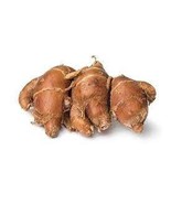 Kencur (Aromatic Ginger) Kaempferia galanga 450 grams - $48.46