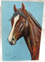 Linen Postcard Just A Pal Horse Pony from a Oil Painting by L.H Dude Lar... - $2.96