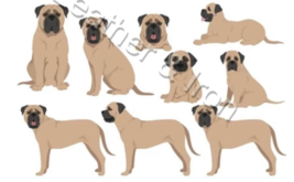 New Bullmastiff Dog Design Vinyl Checkbook Cover Dogs Bull Mastiff - £6.88 GBP