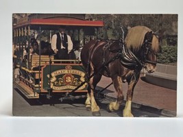 Walt Disney World Horse Drawn Streetcar Dobbin Harness Postcard Old Vint... - £7.56 GBP